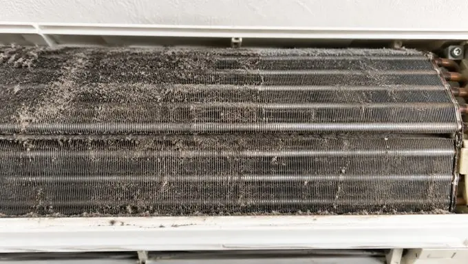 クリーニング前の熱交換器